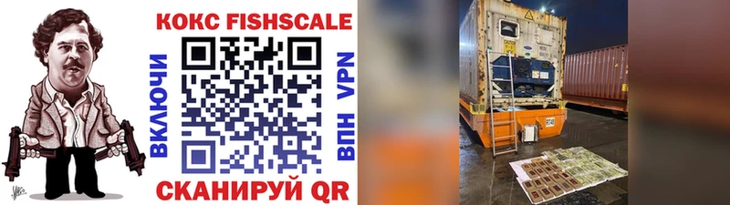 COCAIN Fish Scale  Купить где  Кузнецк 