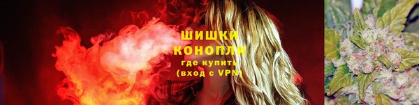 амф Вязьма