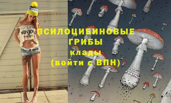 метадон Вяземский
