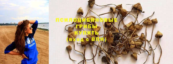 дживик Вязники